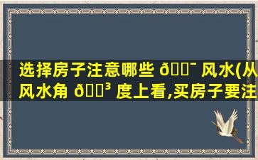 选择房子注意哪些 🐯 风水(从风水角 🌳 度上看,买房子要注意什么)